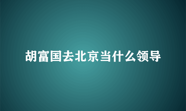 胡富国去北京当什么领导