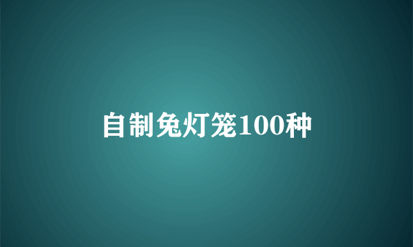 自制兔灯笼100种