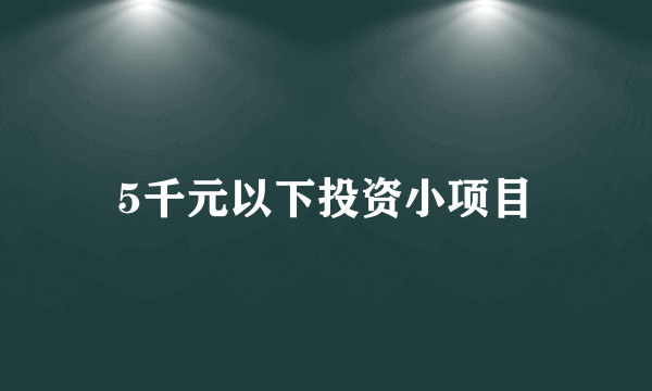 5千元以下投资小项目