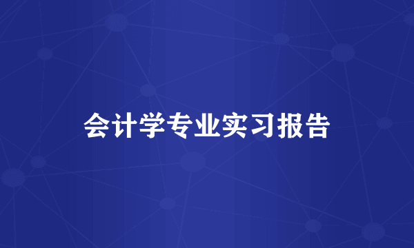 会计学专业实习报告