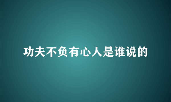 功夫不负有心人是谁说的