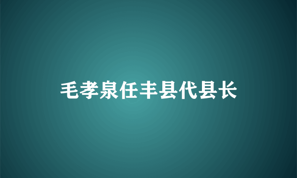 毛孝泉任丰县代县长