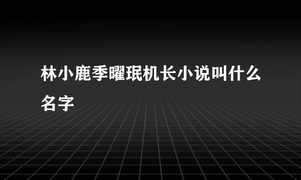 林小鹿季曜珉机长小说叫什么名字