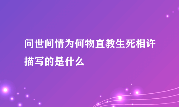 问世间情为何物直教生死相许描写的是什么