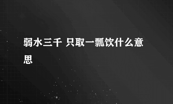 弱水三千 只取一瓢饮什么意思