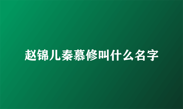 赵锦儿秦慕修叫什么名字