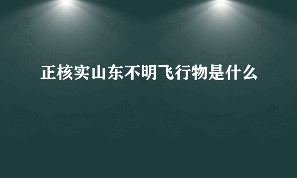 正核实山东不明飞行物是什么