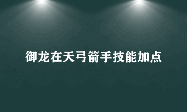 御龙在天弓箭手技能加点