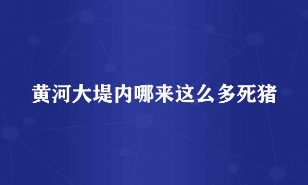 黄河大堤内哪来这么多死猪