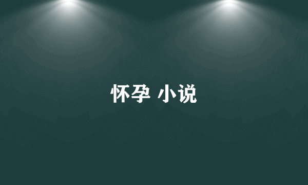 怀孕 小说