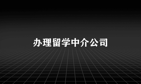 办理留学中介公司