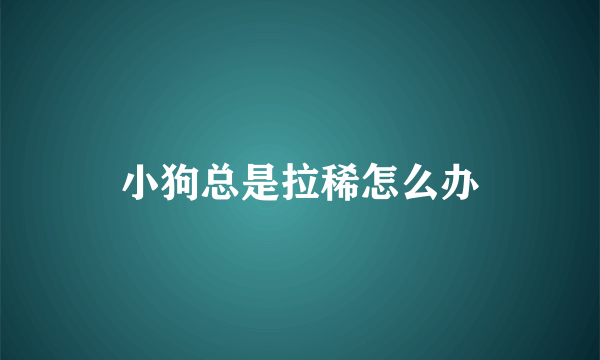 小狗总是拉稀怎么办