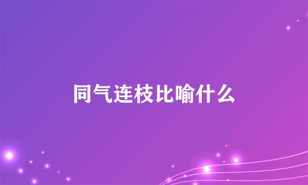 同气连枝比喻什么