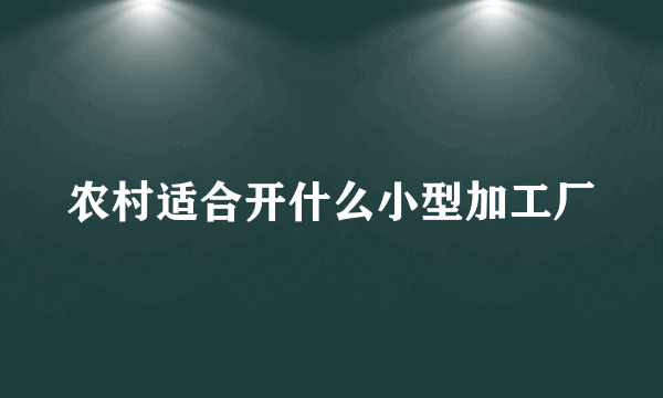 农村适合开什么小型加工厂