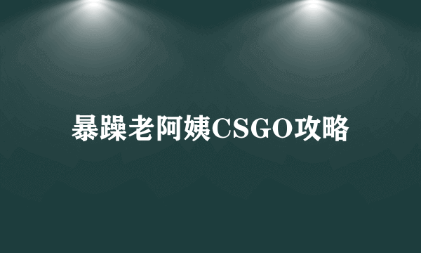 暴躁老阿姨CSGO攻略