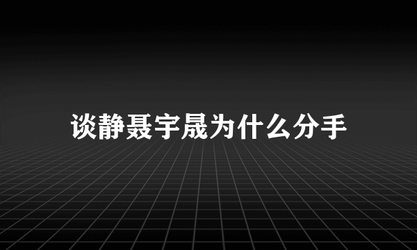 谈静聂宇晟为什么分手