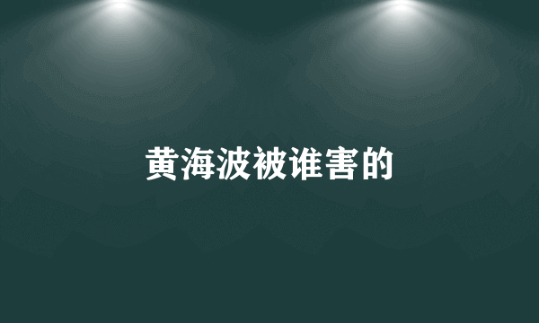 黄海波被谁害的