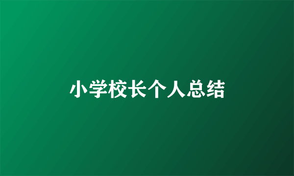 小学校长个人总结