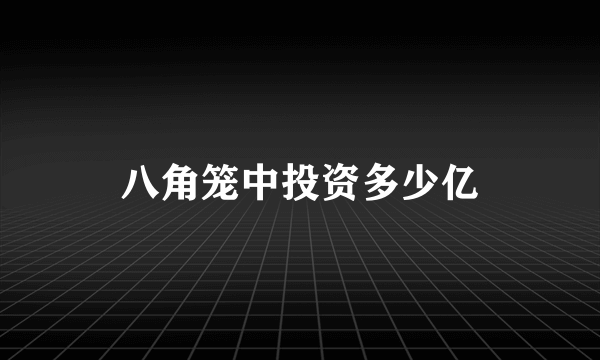 八角笼中投资多少亿