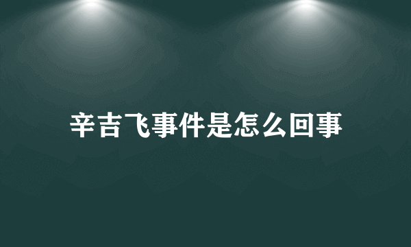 辛吉飞事件是怎么回事