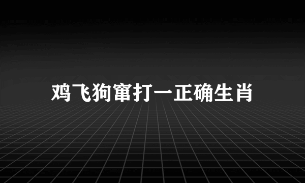 鸡飞狗窜打一正确生肖