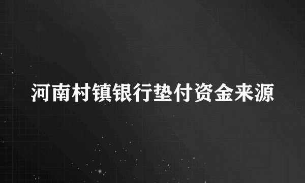 河南村镇银行垫付资金来源