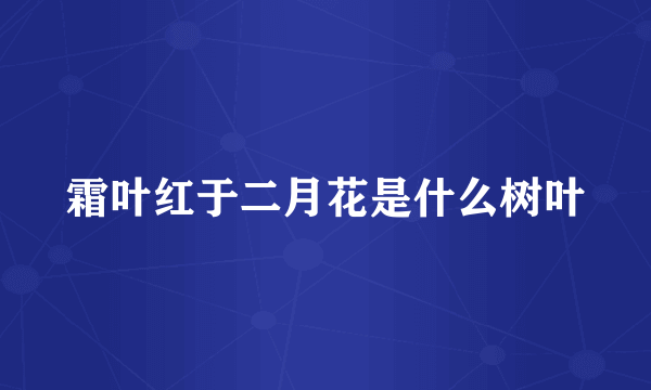 霜叶红于二月花是什么树叶