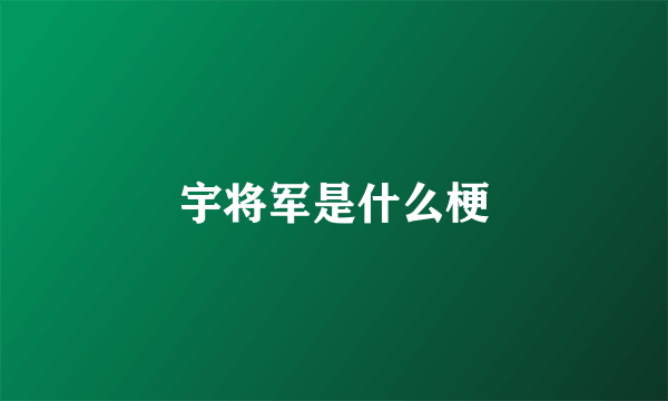 宇将军是什么梗