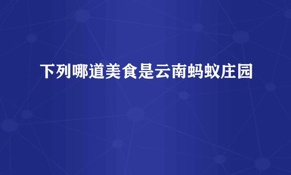 下列哪道美食是云南蚂蚁庄园