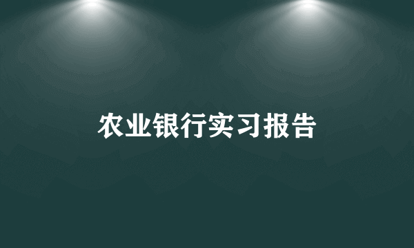 农业银行实习报告