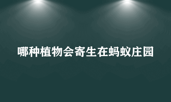 哪种植物会寄生在蚂蚁庄园