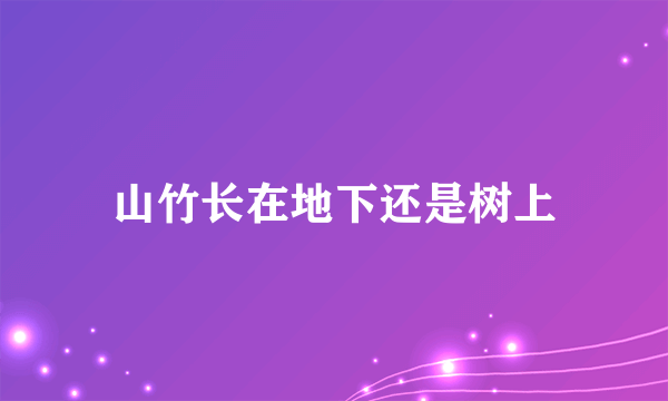 山竹长在地下还是树上