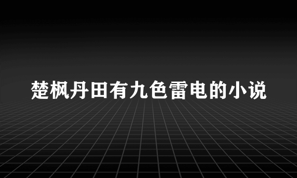 楚枫丹田有九色雷电的小说