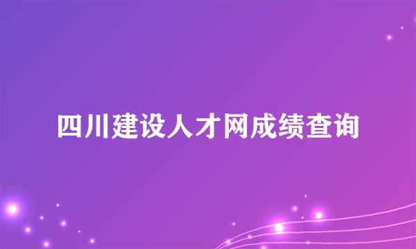 四川建设人才网成绩查询