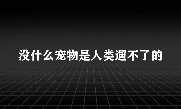 没什么宠物是人类遛不了的