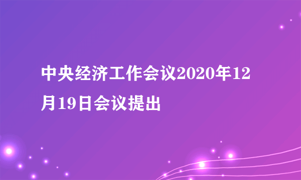 中央经济工作会议2020年12月19日会议提出