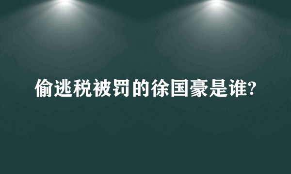 偷逃税被罚的徐国豪是谁?