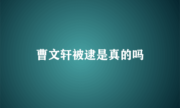 曹文轩被逮是真的吗