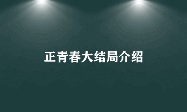 正青春大结局介绍