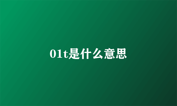 01t是什么意思