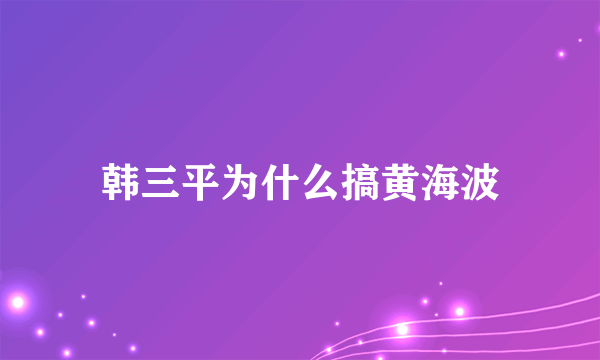 韩三平为什么搞黄海波