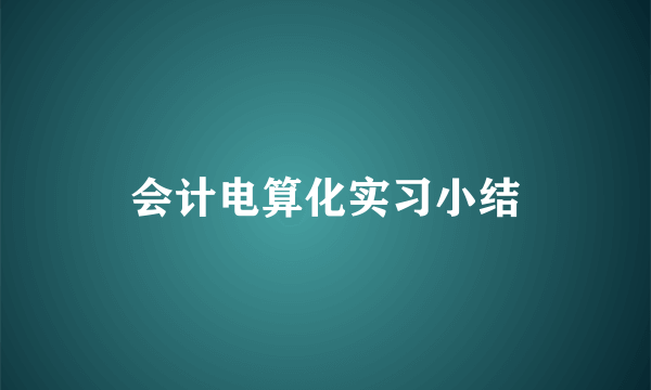 会计电算化实习小结