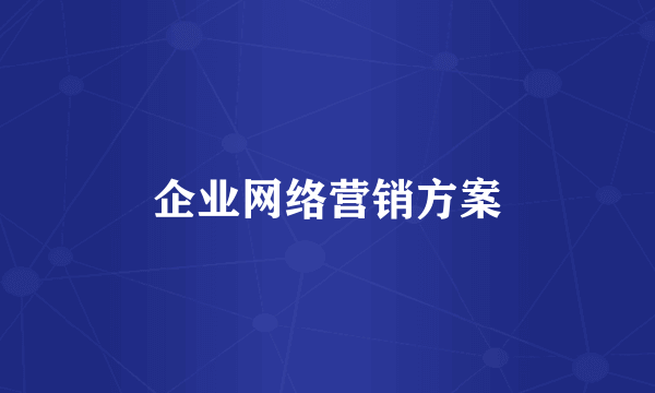 企业网络营销方案