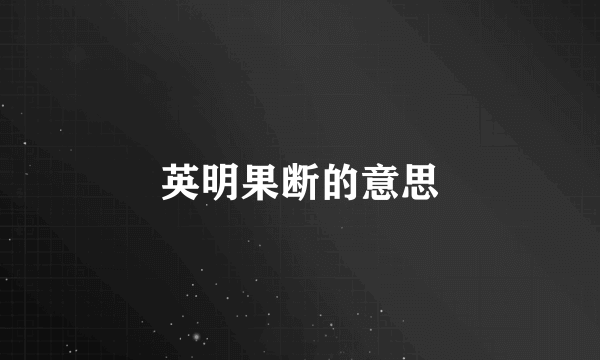 英明果断的意思