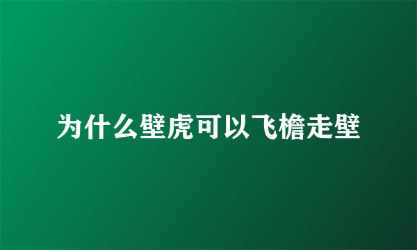 为什么壁虎可以飞檐走壁