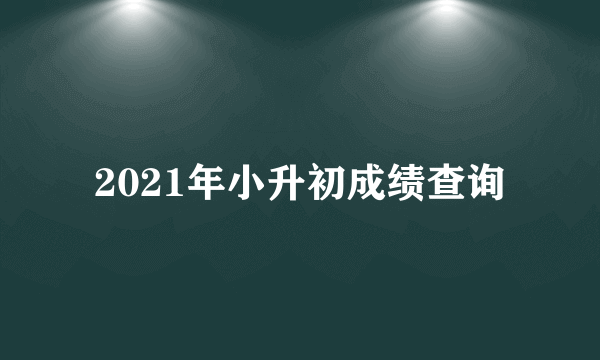 2021年小升初成绩查询