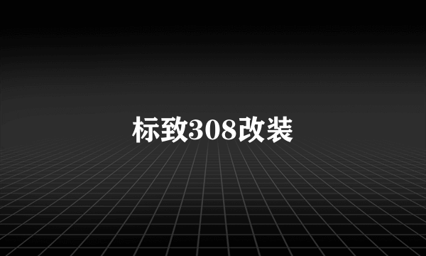 标致308改装