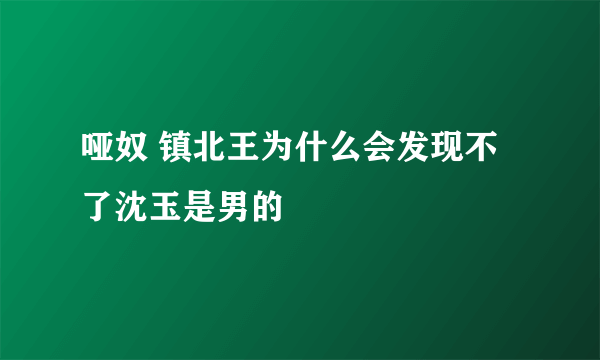 哑奴 镇北王为什么会发现不了沈玉是男的