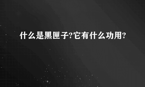 什么是黑匣子?它有什么功用?