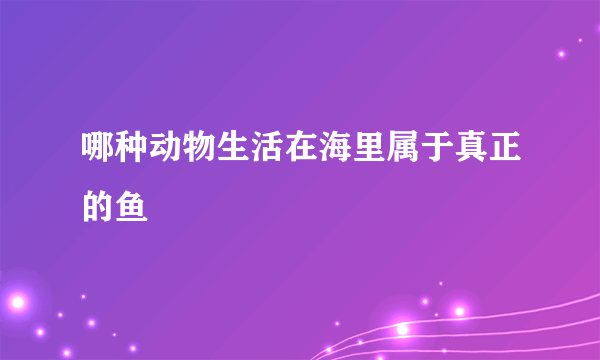 哪种动物生活在海里属于真正的鱼